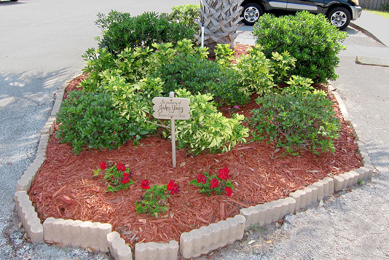 HP2000 - JMY STLC Garden 2s