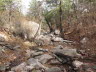 Creek Bed