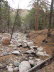 Creek with Rocks