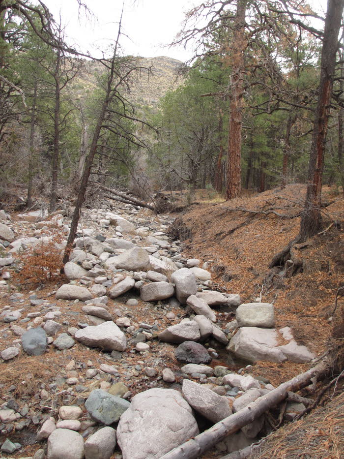 Creek with Rocks