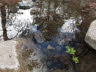 Water Pool