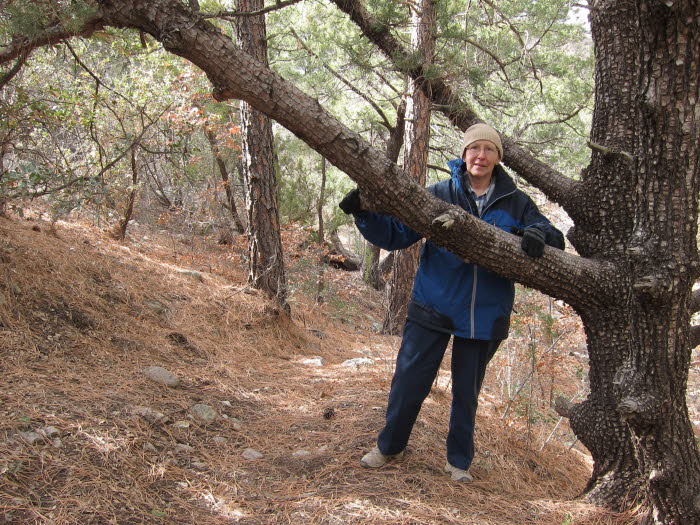 Jo Ann at Tree