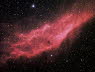 California Nebula
