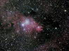 NGC 2264