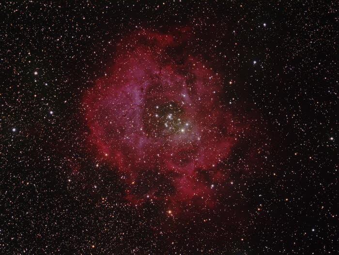 Rosette Nebula