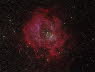 Rosette Nebula